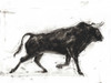 Toro II Poster Print - Ethan Harper