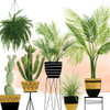 Indoor Oasis II Poster Print - Grace Popp
