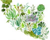 Succulent Field II Poster Print - Melissa Wang