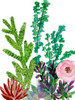Little Garden II Poster Print - Melissa Wang