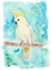 Sweet Tropical Bird II Poster Print - Regina Moore
