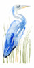 Blue Watercolor Heron II Poster Print - Grace Popp