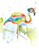 Smarty-Pants Flamingo Poster Print - Jennifer Goldberger
