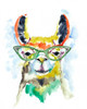 Smarty-Pants Llama Poster Print - Jennifer Goldberger