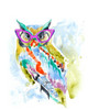 Smarty-Pants Owl Poster Print - Jennifer Goldberger