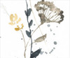 Branch Contours VI Poster Print - Jennifer Goldberger