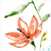 Tropical Display IV Poster Print - Jennifer Goldberger