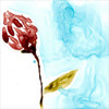 Tropical Display II Poster Print - Jennifer Goldberger