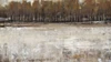 Neutral Reflection I Poster Print - Tim OToole