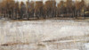 Neutral Reflection II Poster Print - Tim OToole
