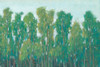 Forest Green II Poster Print - Tim OToole