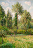 Poplars, Eragny Poster Print - Camille Pissarro
