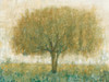 Summer Day Tree II Poster Print - Tim OToole