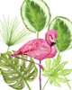 Tropical Flamingo II Poster Print - Melissa Wang