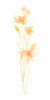 Bouquet Blush III Poster Print - June Erica Vess