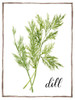 Watercolor Herbs III Poster Print - Grace Popp