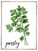 Watercolor Herbs II Poster Print - Grace Popp