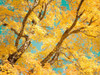 Autumn Tapestry V Poster Print - Judy Stalus