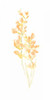 Bouquet Blush I Poster Print - June Erica Vess