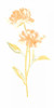 Bouquet Blush VII Poster Print - June Erica Vess