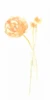 Bouquet Blush IV Poster Print - June Erica Vess