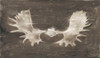 Rustic Moose Mount II Poster Print - Ethan Harper