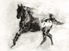 Rustic Appaloosa II Poster Print - Ethan Harper