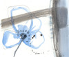 Sketched Garden VIII Poster Print - Jennifer Goldberger