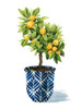 Fruit Tree I Poster Print - Grace Popp