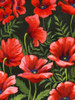 Poppies at Midnight II Poster Print - Grace Popp