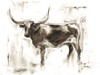 Longhorn Study II Poster Print - Ethan Harper