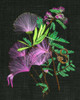 Calliandra Surinamensis II Poster Print - Melissa Wang