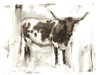 Longhorn Study I Poster Print - Ethan Harper