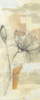 Neutral Lace I Poster Print - Jennifer Goldberger