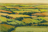 A View Above II Poster Print - Tim OToole
