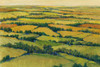 A View Above I Poster Print - Tim OToole