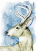 Wandering Stag I Poster Print - Grace Popp