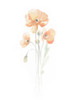 Delicate Bouquet I Poster Print - June Erica Vess