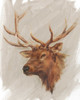 Western American Animal Study IV Poster Print - Ethan Harper