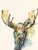 Custom Hi Fi Wildlife I Poster Print - Jennifer Goldberger