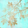 Aqua and Gold Maple II Poster Print - Jennifer Goldberger