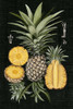 Graphic Pineapple Botanical Study I Poster Print - Naomi McCavitt
