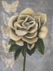 Blissful Gardenia II Poster Print - Grace Popp