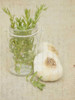 Herb Still Life II Poster Print - Irena Orlov