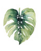 Custom Paradise Palm Leaves on white I Poster Print - Grace Popp