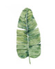 Custom Paradise Palm Leaves on white IV Poster Print - Grace Popp