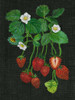 Strawberry Fields II Poster Print - Melissa Wang