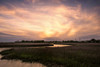 Low Country Sunset I Poster Print - Danny Head