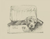 Stowaway II Poster Print - Ethan Harper
