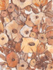 Umber Garden II Poster Print - Tim OToole